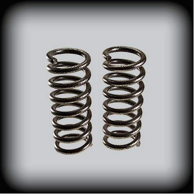 1982-04 S10, S15 2 inch Coil Spring