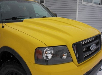 2004-08 F150 cowl induction hood